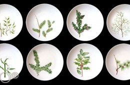 Collection YATO&rsquo;s white© BOTANICA