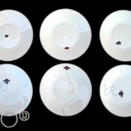 Collection YATO&rsquo;s white© COCCINELLES